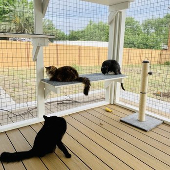 Catios By Clear Choice - General Contractors Near Me Catios By Clear Choice - General Contractors Near Me