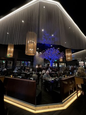 Okura Robata Grill & Sushi Bar by null