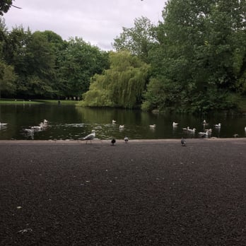 St Stephen's Green - Ducks - Parks Near Me - Dublin, D St Stephen's Green - Ducks - Parks Near Me - Dublin, D