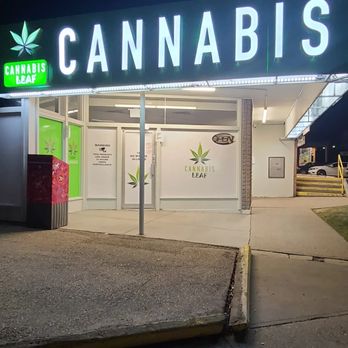 Cannabis Leaf - Cannabis Dispensaries Near Me - Calgary, Alberta Cannabis Leaf - Cannabis Dispensaries Near Me - Calgary, Alberta