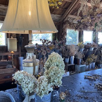 Park Winters Flower Farm - Pick Your Own Farms Near Me - Winters, California