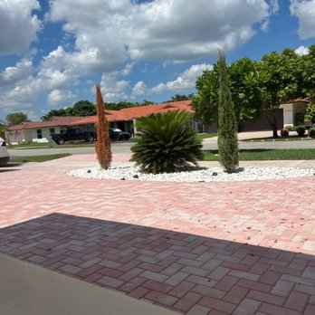 Aero Pressure Cleaning - My dried tree.  They were both perfect and green.  Now one is burned and dying from the pressure cleaning chlorine sprayed.AWFUL.. - Pressure Washers Near Me