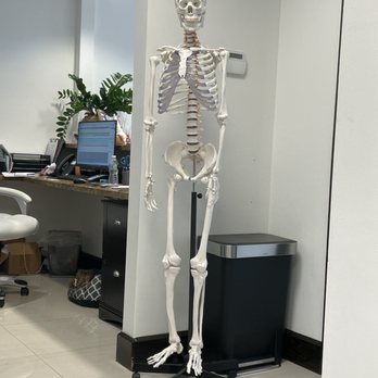 Lux Lifestyle Chiropractic - Chiropractors Near Me - Coral Gables, Florida Lux Lifestyle Chiropractic - Chiropractors Near Me - Coral Gables, Florida
