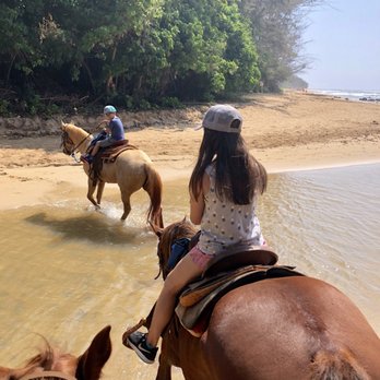 CJM Stables - Horseback Riding Near Me
