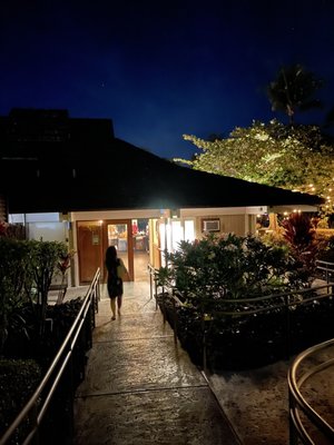 The Painted Lady by null