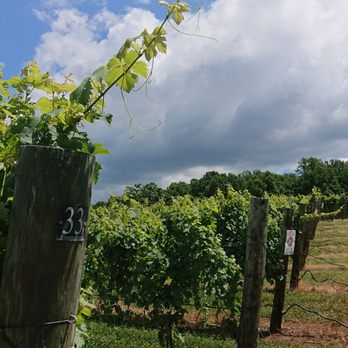 Robin Hill Farm and Vineyard - Vine to the Sky... - Venues & Event Spaces Near Me - Brandywine, Maryland