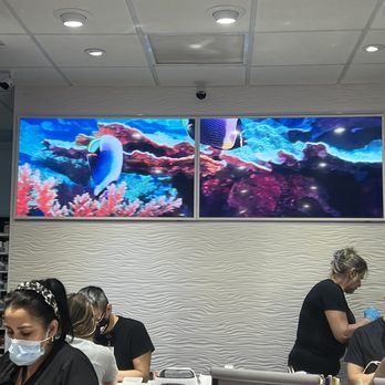Toi Spa - West Davie - Skin Care Near Me - West Davie, Florida