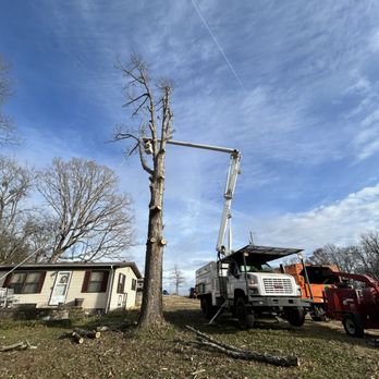 Dixon Tree Service - Tree Services Near Me