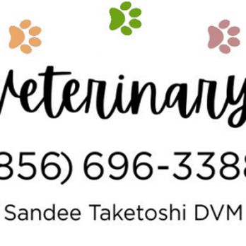 All Pets Veterinary Hospital - Veterinarians Near Me - Vineland, New Jersey All Pets Veterinary Hospital - Veterinarians Near Me - Vineland, New Jersey