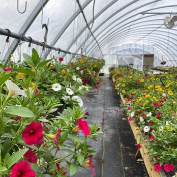 Johansson Heritage Farm - One of the greenhouses. - Nurseries & Gardening Near Me - Petoskey, Michigan