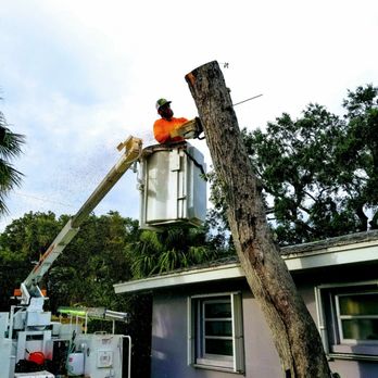 Anthonys Tree Company  - a man on a cherry picker - Tree Services Near Me - Fort Pierce, Florida