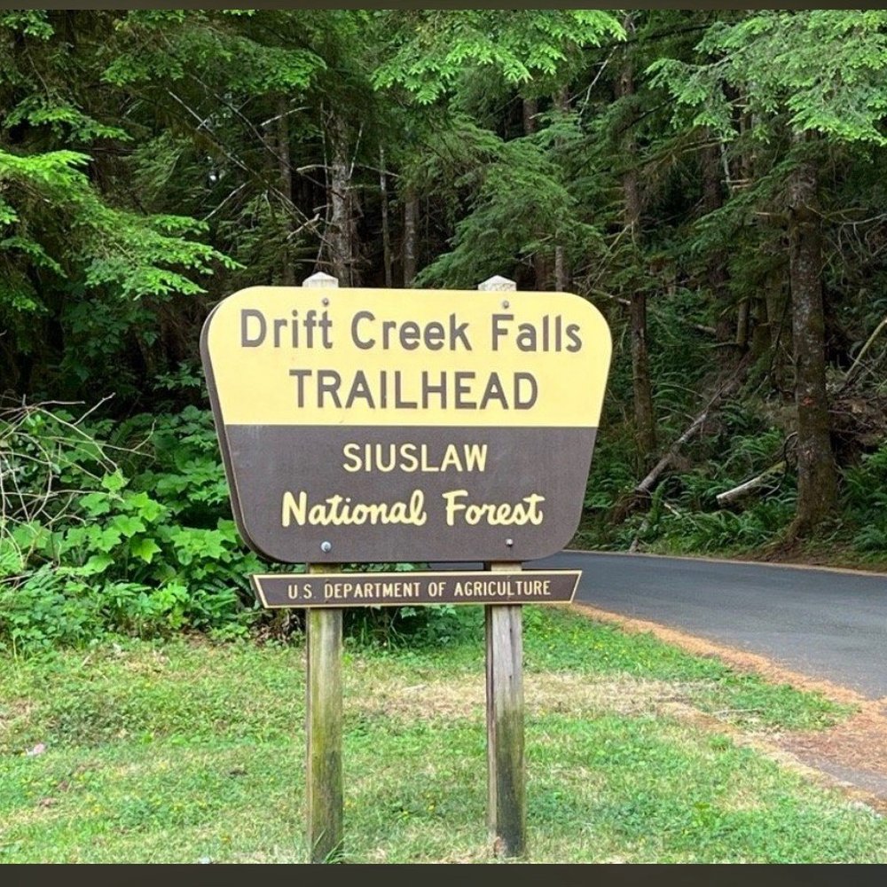 Drift Creek Fall And Bridge - Hiking Near Me - Otis, Oregon Drift Creek Fall And Bridge - Hiking Near Me - Otis, Oregon