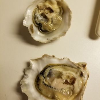 Oregon Oyster Farm - I learned how to shuck! - Seafood Markets Near Me - Newport, Oregon Oregon Oyster Farm - I learned how to shuck! - Seafood Markets Near Me - Newport, Oregon