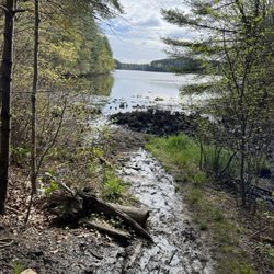 Massasoit State Park - Lake