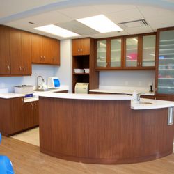 Young Dentistry