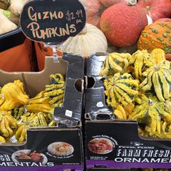 Trader Joe's