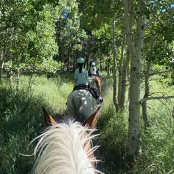 Frontier Pack Train - Surrounded by the beautiful Aspen trees
