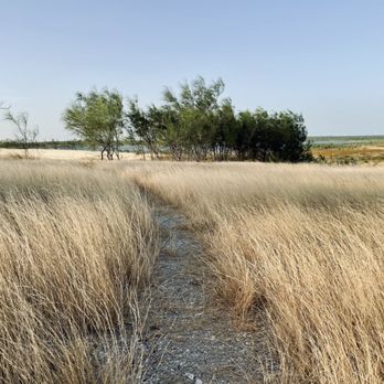 Falcon State Park - Parks Near Me - Falcon Heights, Texas