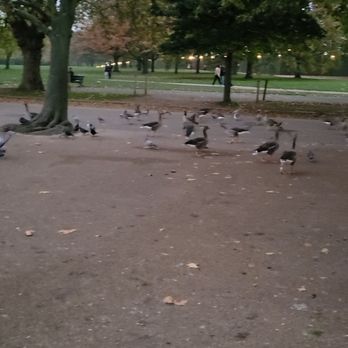 Hyde Park - Parks Near Me