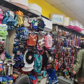 Fluffy Paws - Dog and cat clothes, a wide selection of collars, harnesses and leads, litter boxes, litter and so much more! - Pet Groomers Near Me - Brooklyn, New York
