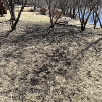 Top Shelf Contracting - Before...end of March - Landscaping Near Me - Maple Grove, Minnesota Top Shelf Contracting - Before...end of March - Landscaping Near Me - Maple Grove, Minnesota