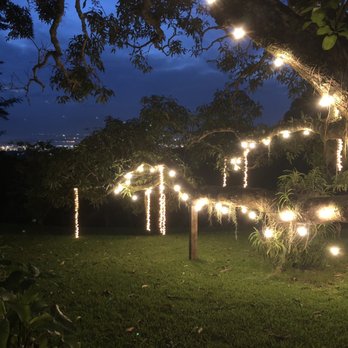 Nutridge Estate - Tree with Spanish moss and lights - Venues & Event Spaces Near Me - Honolulu, Hawaii
