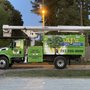 Photo of AJ's Tree Service