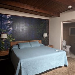 The room and bathroom were clean and spacious! The bed was not comfortable at all though.