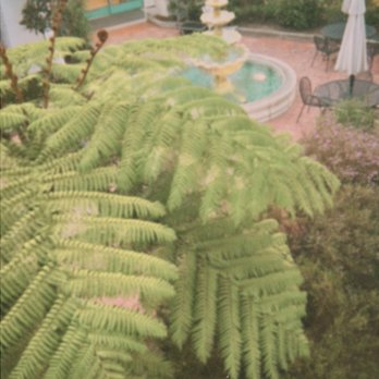 Casablanca Inn - Hotels Near Me - San Clemente, California