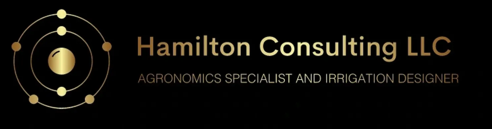 Slide of Hamilton Consulting