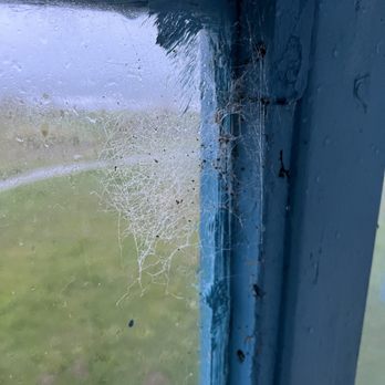Oceanfront Lodge - Spider friends all over the balcony. Would have loved to know they had cleaners at this place, guess not. - Hotels Near Me - Crescent City, California Oceanfront Lodge - Spider friends all over the balcony. Would have loved to know they had cleaners at this place, guess not. - Hotels Near Me - Crescent City, California