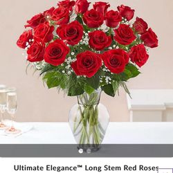 Glamour Flowers Corp - Expected roses