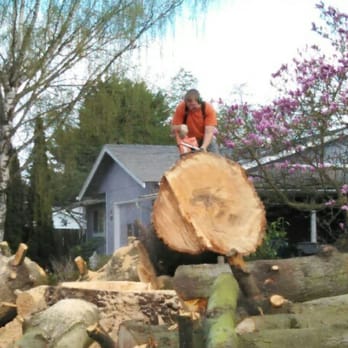 Simonson Tree Service - I took down a fir tree with three trunks and a base of over 5 feet - Tree Services Near Me Simonson Tree Service - I took down a fir tree with three trunks and a base of over 5 feet - Tree Services Near Me