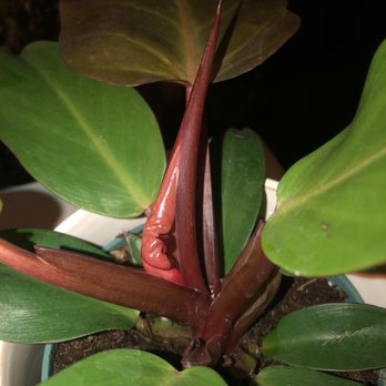 Knots & Found - Nurseries & Gardening Near Me - Martinez, California