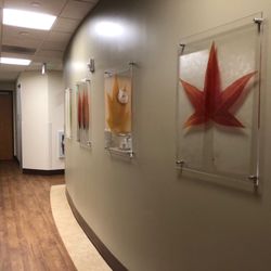 Jeffrey T Bortz, MD