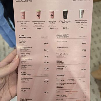 Molly Tea - Bubble Tea Near Me - Sunnyvale, California Molly Tea - Bubble Tea Near Me - Sunnyvale, California