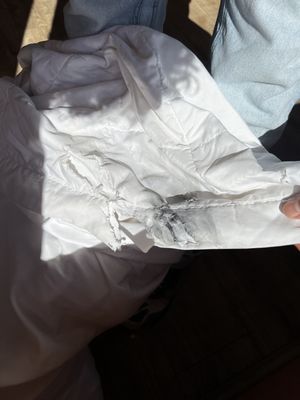 Bungalows Hostel by null