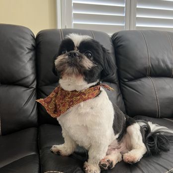 PetSmart - BEFORE DROP OFF - Pet Stores Near Me - Ontario, California