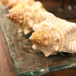 Exotic Home Coastal Outlet