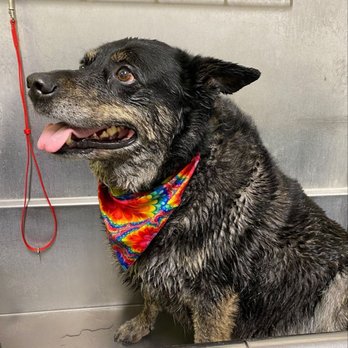 Hollywood Feed - Pet Stores Near Me - Indianapolis, Indiana Hollywood Feed - Pet Stores Near Me - Indianapolis, Indiana