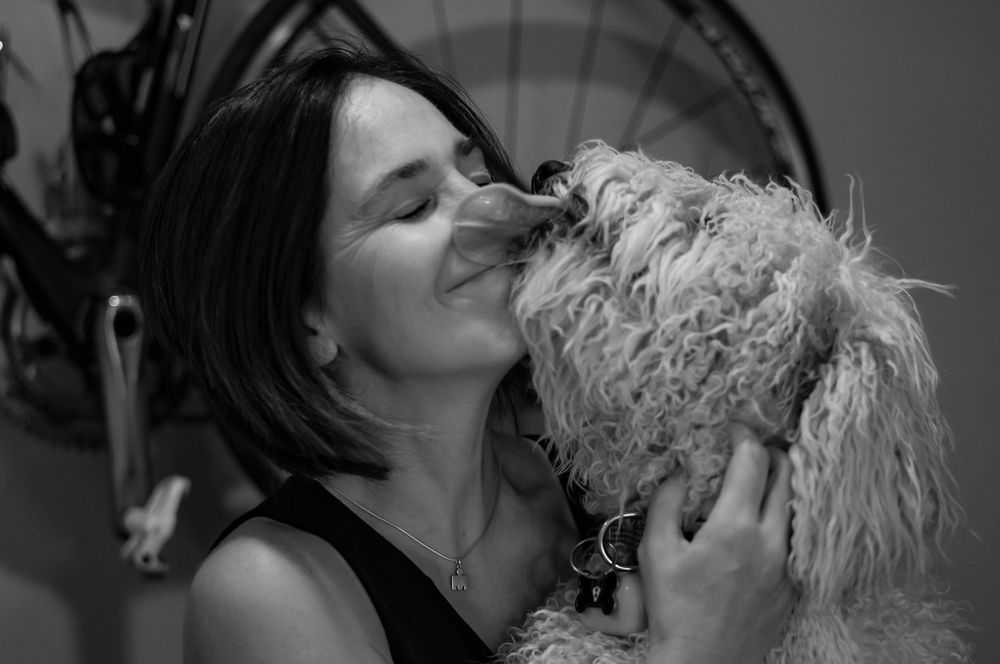 PAMPERED PAWS CAGE FREE PET GROOMING Updated August 2024 102 Photos