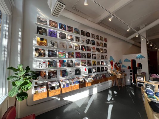 Spinster Records by null