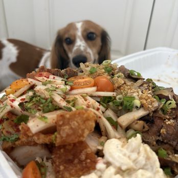 GiAilex Kitchen - Food Trucks Near Me