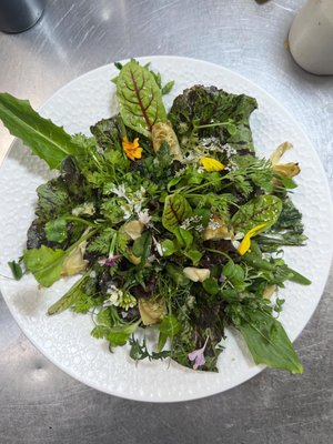 The Wild Artichoke by null