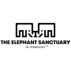 The Elephant Sanctuary