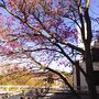 Photo of Centro Universitario Rosario la Siberia