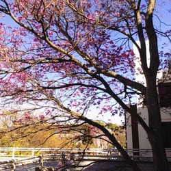 Centro Universitario Rosario la Siberia - Terraza de la Facultad de Ciencia Política.