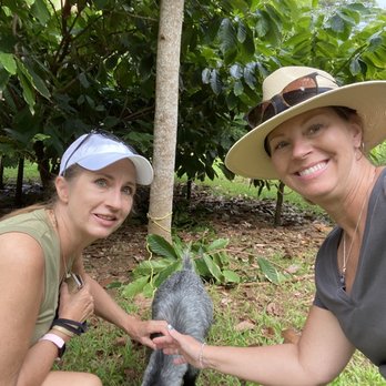 21 Degrees Estate - Baby goat friend friends! - Tours Near Me - Kaneohe, Hawaii 21 Degrees Estate - Baby goat friend friends! - Tours Near Me - Kaneohe, Hawaii