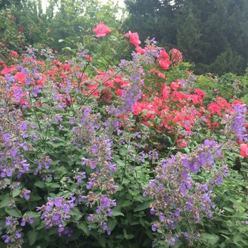 Brookside Gardens  - Botanical Gardens Near Me - Wheaton, Maryland