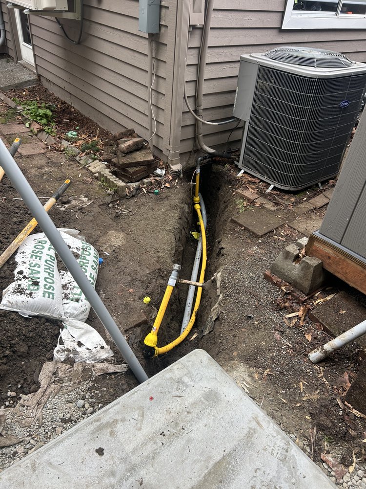 Slide of Royal Flush Services